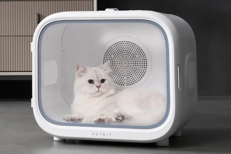 Transform Your Furry Friend's Grooming Routine with the Best Pet Dryer Box | Angellique.com