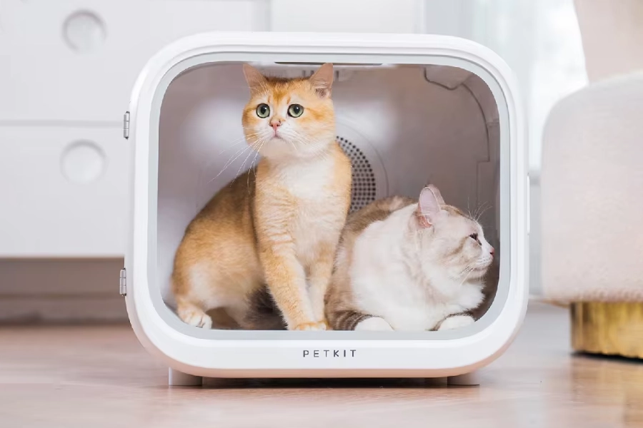 Transforming Feline Grooming with the Innovative Cat Hair Drying Box | Angellique.com