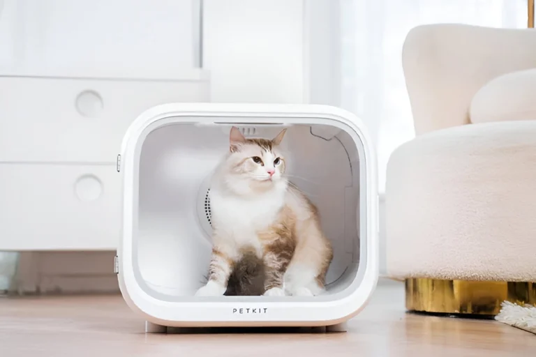 Transform Your Pet Care Routine with a Dog Hair Drying Box | Angellique.com