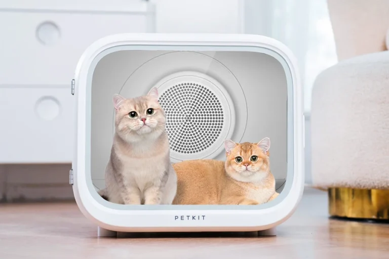 A New Era of Comfort with the Home Run Pet Drying Box | Angellique.com
