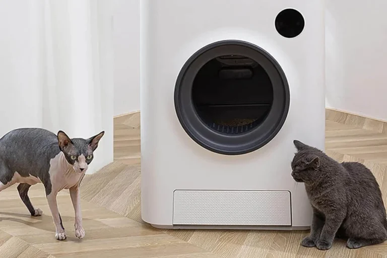 The Evolution of Feline Care: Best Automatic Cat Litter Boxes | Angellique.com