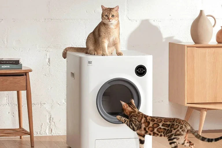 A Game Changer in Feline Care: The Best Automatic Litter Box for Cats | Angellique.com