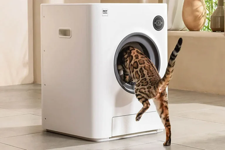 A Fresh Take on Feline Care with Self Cleaning Litter Box | Angellique.com