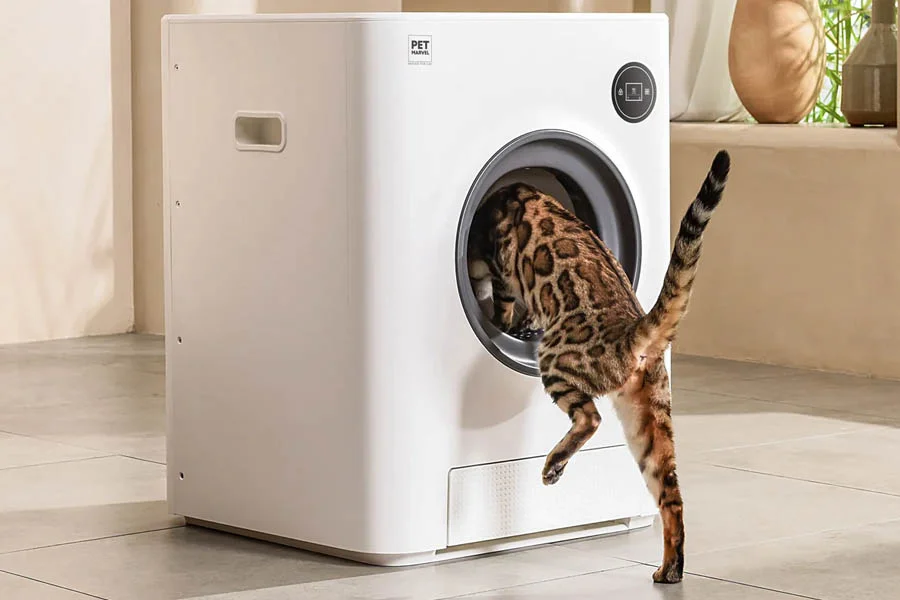 A Fresh Take on Feline Care with Self Cleaning Litter Box | Angellique.com