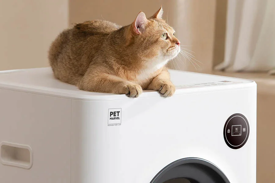 Embrace a Cleaner Home with the No Scoop Litter Box | Angellique.com