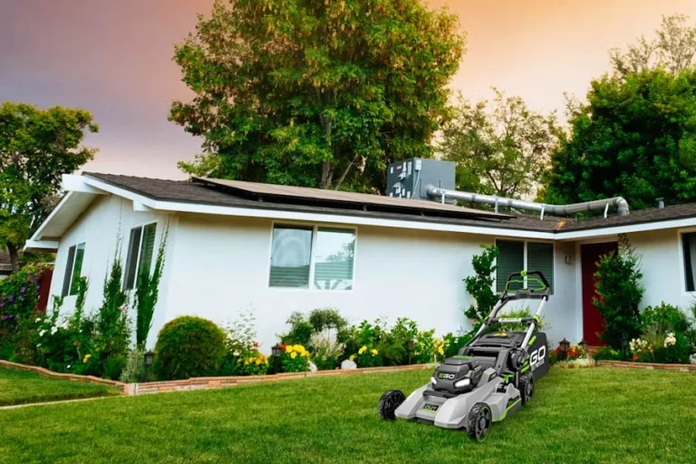 A Fresh Cut Above: Exploring Top Ranked Lawn Mowers | Angellique.com