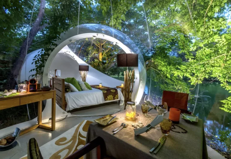 Elevating Outdoor Adventures with the Stargaze Bubble Tent | Angellique.com