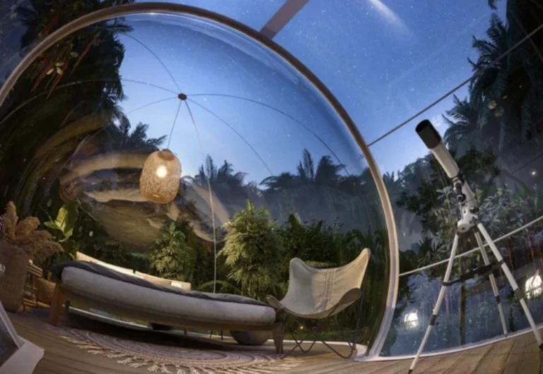 A Glimpse into the Stars: The Magic of Big Transparent Camping Inflatable Bubble Tents | Angellique.com