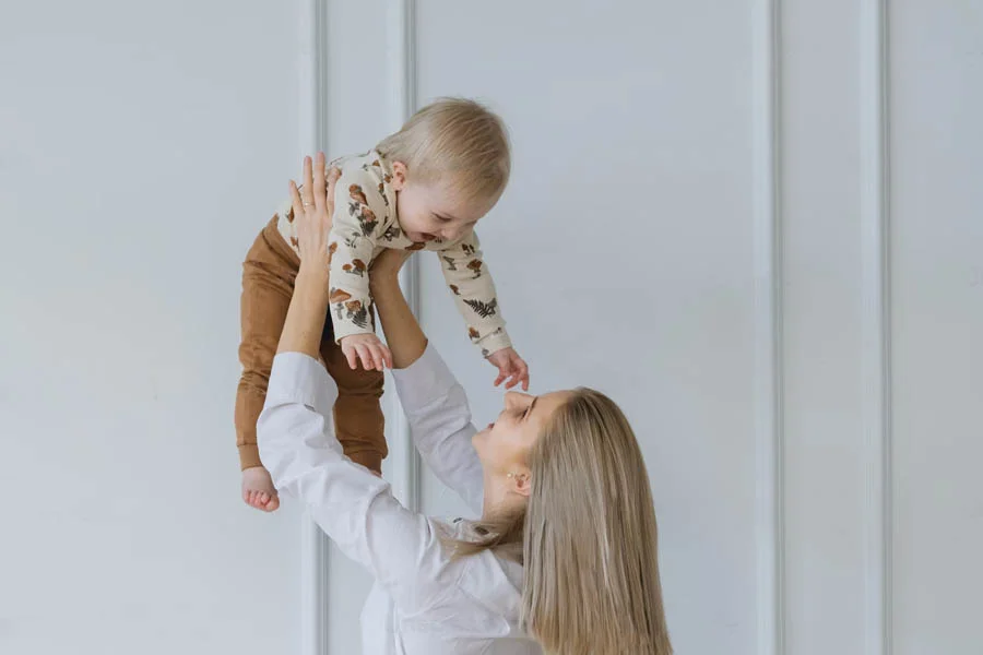 stylish high landscape stroller
